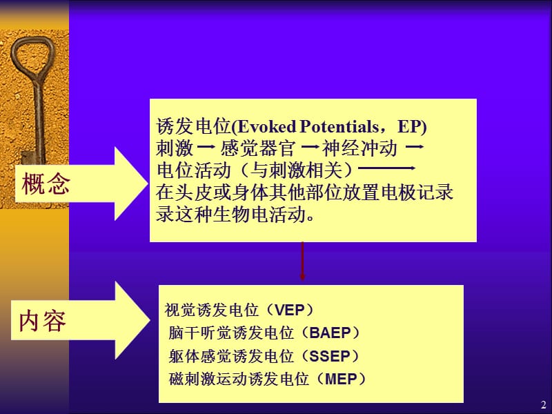 诱发电位的阅读及临床应用ppt课件_第2页