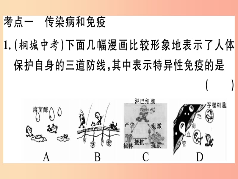 2019春八年級生物下冊 專題復(fù)習(xí)十四 健康地生活習(xí)題課件（新版）北師大版.ppt_第1頁