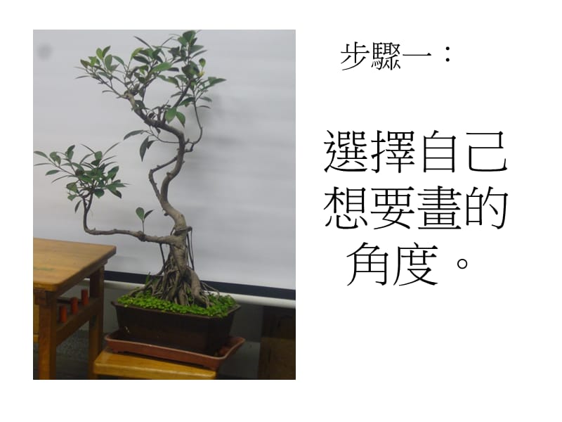 铅笔静物素描(植物盆栽)之步骤与注意事项.ppt_第2页