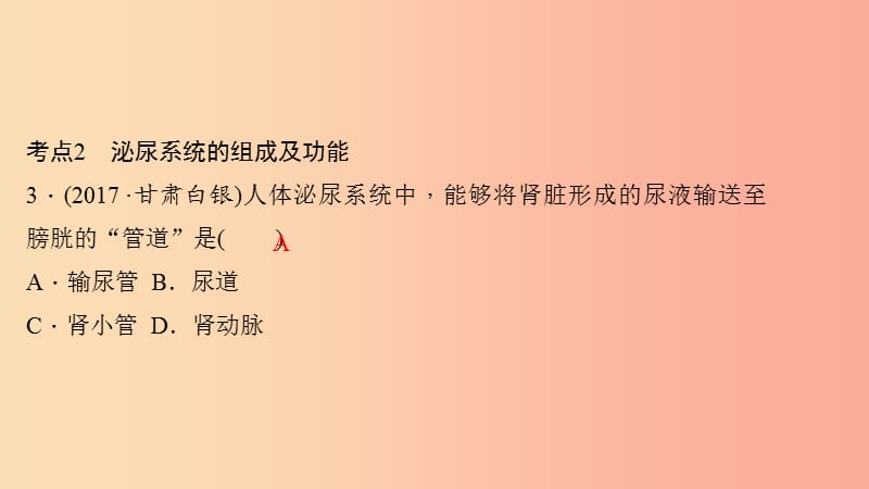 七年级生物下册 第四单元 第五章 人体内废物的排出考点突破习题课件 新人教版.ppt_第3页