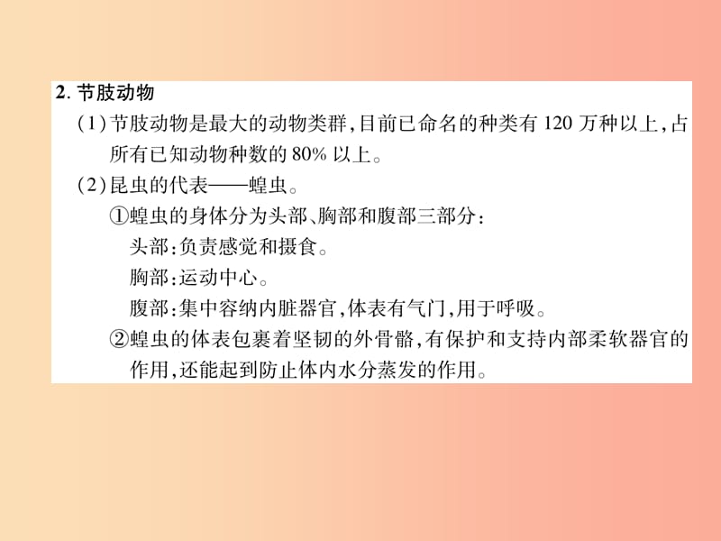 2019年八年级生物上册 第5单元 第1章 第3节 软体动物和节肢动物练习课件 新人教版.ppt_第2页