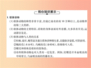 2019年八年級生物上冊 第5單元 第1章 第3節(jié) 軟體動物和節(jié)肢動物練習課件 新人教版.ppt