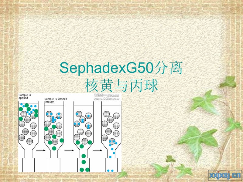 用sephadexG50分离核黄素与丙.ppt_第1页