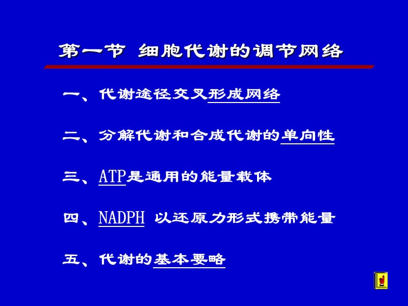 物质代谢的联系及其调节.ppt_第2页