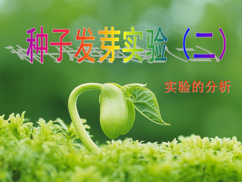 《种子发芽实验》PPT课件.ppt_第1页