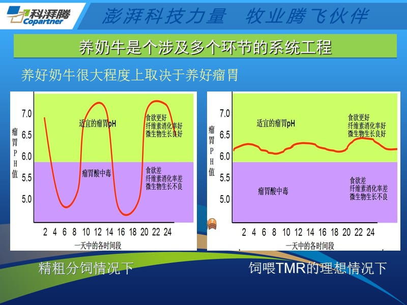 TMR加工发料过程中的监控与管理系统.ppt_第2页