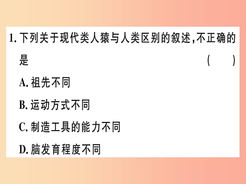 2019七年级生物下册 第四单元 第一章 人的由来小结与复习习题课件 新人教版.ppt_第2页