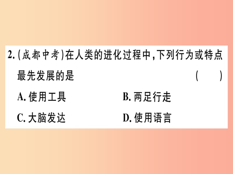 2019七年级生物下册 第四单元 第一章 人的由来小结与复习习题课件 新人教版.ppt_第3页