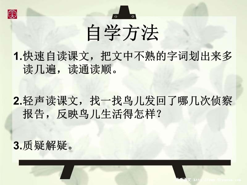 《鸟儿的侦察报告》PPT课件.ppt_第3页