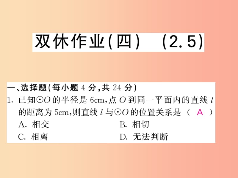 九年级数学下册 双休作业（四）（2.5）习题课件 （新版）湘教版.ppt_第1页