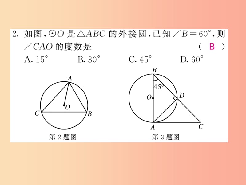 九年级数学下册 双休作业（四）（2.5）习题课件 （新版）湘教版.ppt_第2页