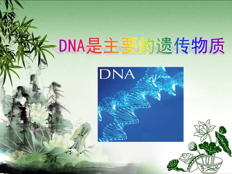 DNA是主要的遗传物质的说.ppt_第1页