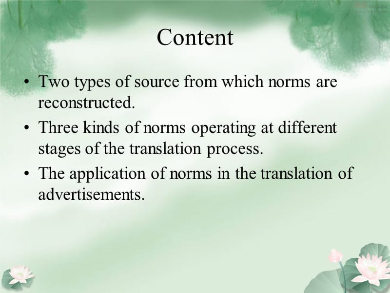 translationnorms雷.ppt_第2页