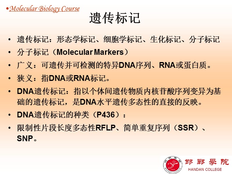 《突变位点的检测》PPT课件.ppt_第3页