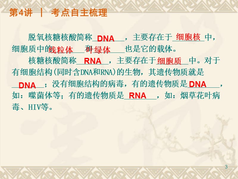 细胞中的核酸、糖类和脂质.ppt_第3页