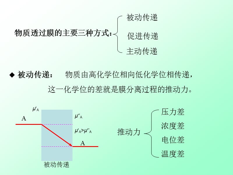 《膜的定义和分类》PPT课件.ppt_第2页