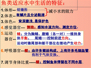 江蘇省七年級生物下冊 第10章 水中的生物 軟體動(dòng)物 河蚌課件（新版）蘇科版.ppt