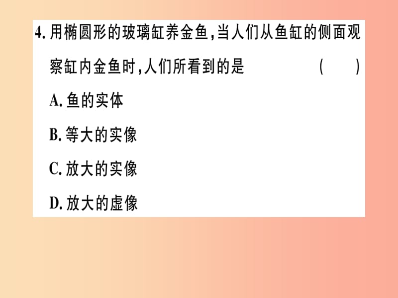 （江西专版）2019年八年级物理上册 第五章 第2节 生活中的透镜习题课件 新人教版.ppt_第3页