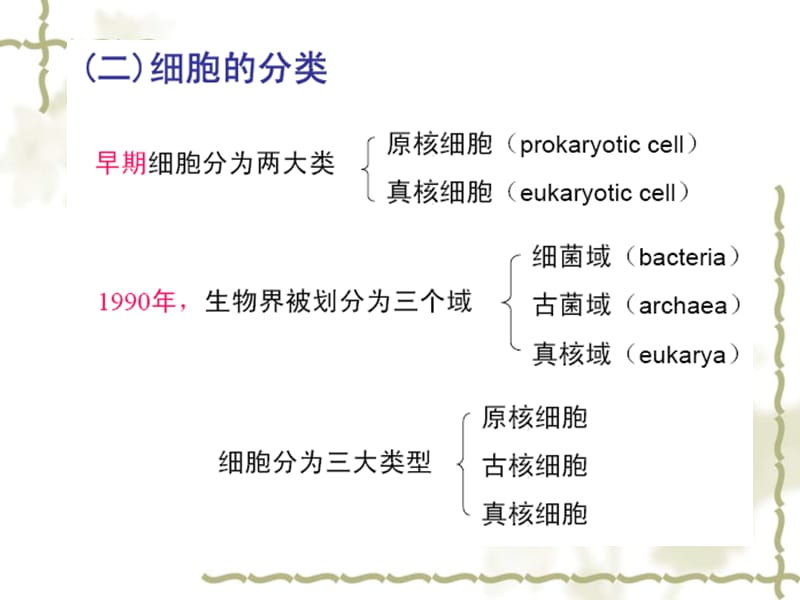 (临床)细胞的概念与分子基础.ppt_第3页