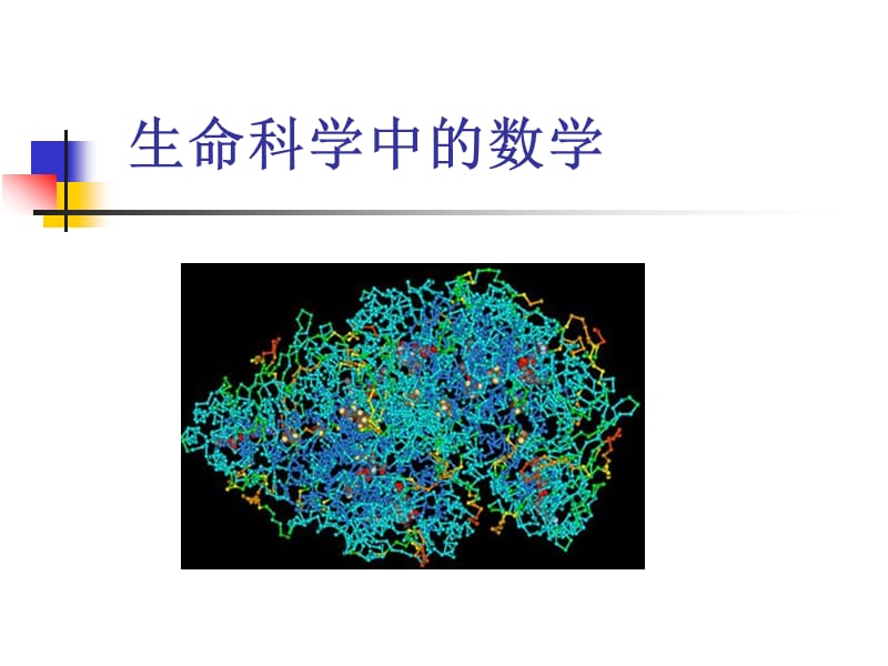 (续)生命科学中的数学.ppt_第1页