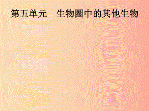 （課標(biāo)通用）甘肅省2019年中考生物總復(fù)習(xí) 第五單元 生物圈中的其他生物 第十六講 動(dòng)物的主要類群課件.ppt