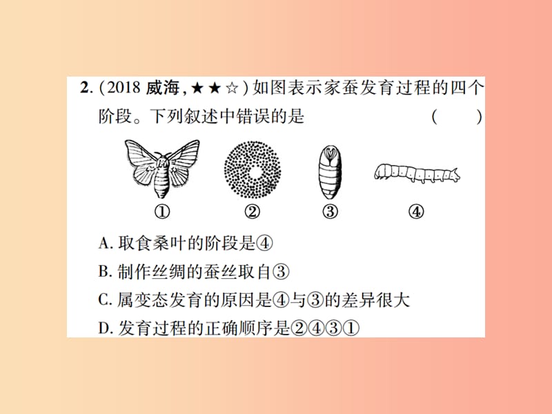 中考江西专用2019中考生物同步高效集训十八课件.ppt_第3页