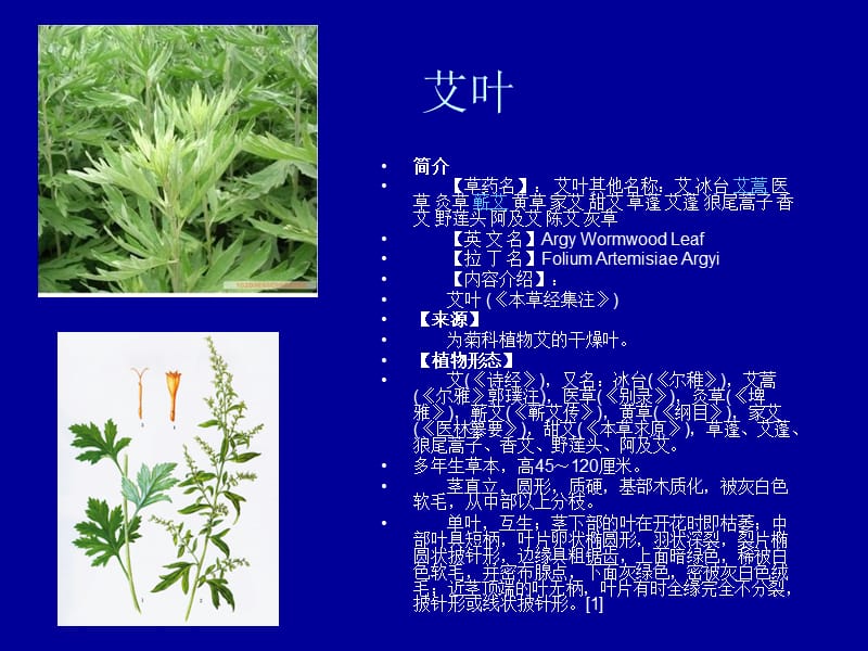 《园林植物分析》PPT课件.ppt_第2页