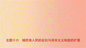 河南省2019年中考?xì)v史一輪復(fù)習(xí) 世界近代史 主題十六 殖民地人民的反抗與資本主義制度的擴(kuò)展課件.ppt