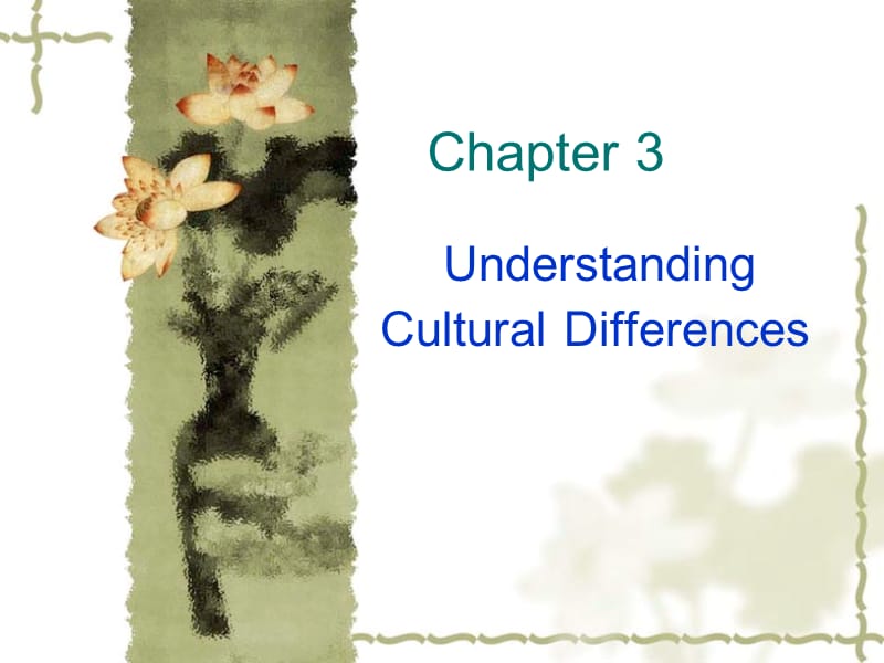 culturaldifference(集体个人主义).ppt_第3页