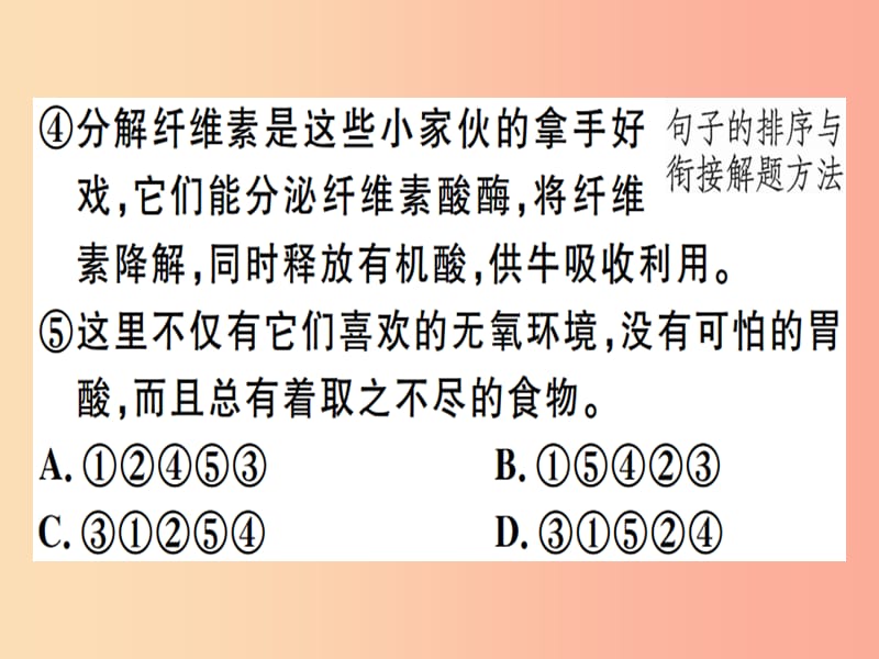 （河北专用）2019年八年级语文上册 专题五 句子的排序衔接习题课件 新人教版.ppt_第3页