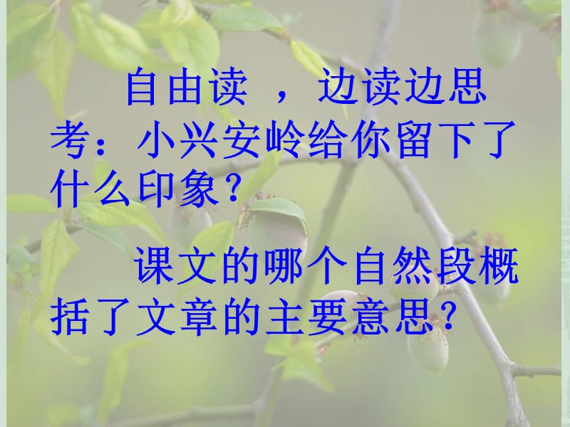 (教学月)美丽的小兴安岭.ppt_第2页