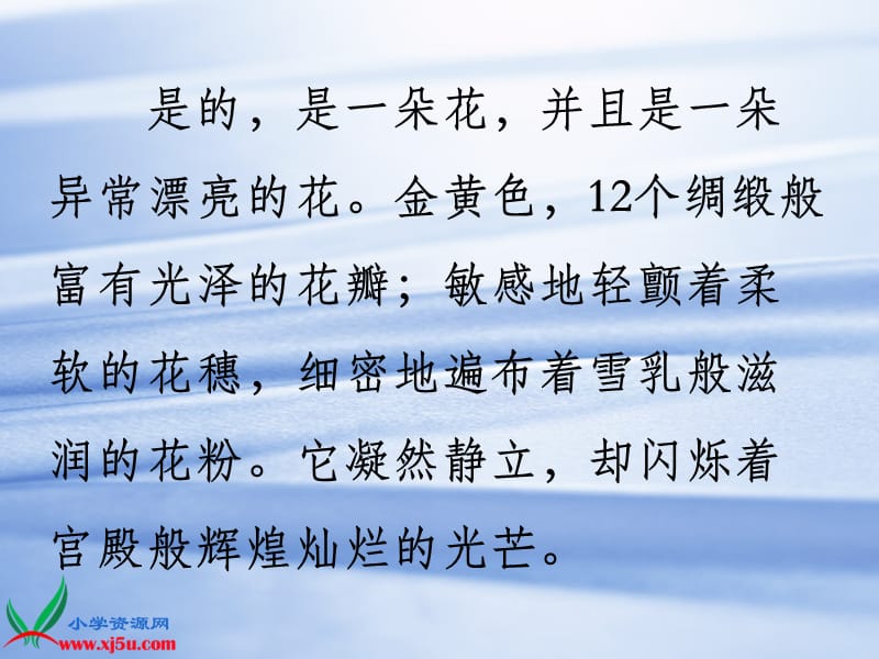 (北京版)六年级语文上册课件金色花.ppt_第3页