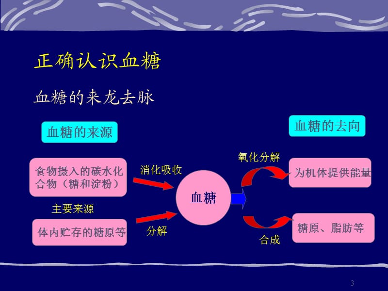 用药照料ppt课件_第3页