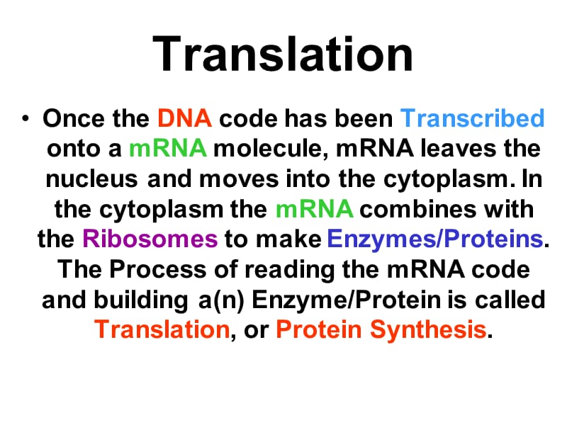 translation翻译过程.ppt_第1页