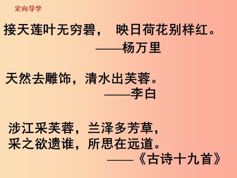 江西省七年级语文下册 第四单元 第16课 爱莲说课件1 新人教版.ppt_第2页