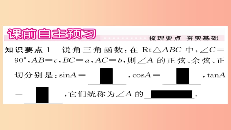 2019秋九年级数学上册 第24章 解直角三角形 24.3.1 第1课时 锐角三角函数习题课件（新版）华东师大版.ppt_第2页