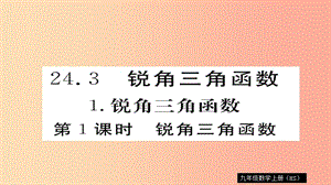 2019秋九年級(jí)數(shù)學(xué)上冊(cè) 第24章 解直角三角形 24.3.1 第1課時(shí) 銳角三角函數(shù)習(xí)題課件（新版）華東師大版.ppt