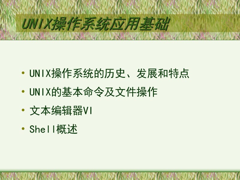 UNIX操作系统应用基础.ppt_第1页