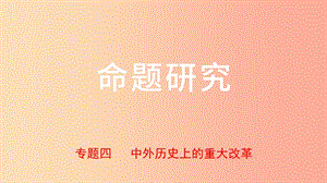 河北省2019年中考歷史專題復(fù)習(xí) 專題四 中外歷史上的重大改革課件 新人教版.ppt