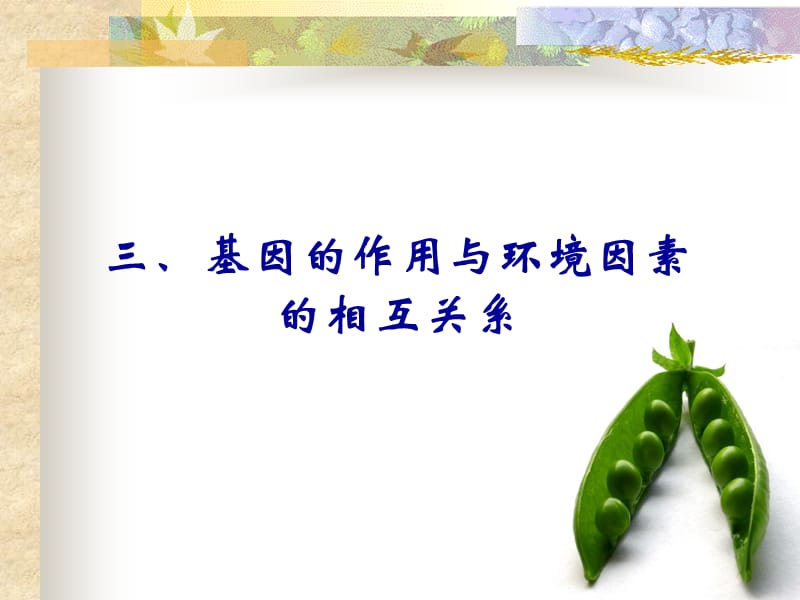 遗传学-孟德尔遗传定律.ppt_第3页