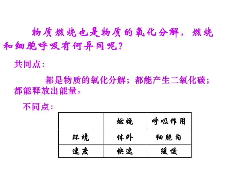 ATP能量的主要来源-细胞呼吸.ppt_第3页