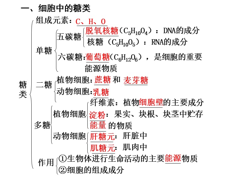 组成生物体的有机化合物-糖类、脂质和核酸.ppt_第2页