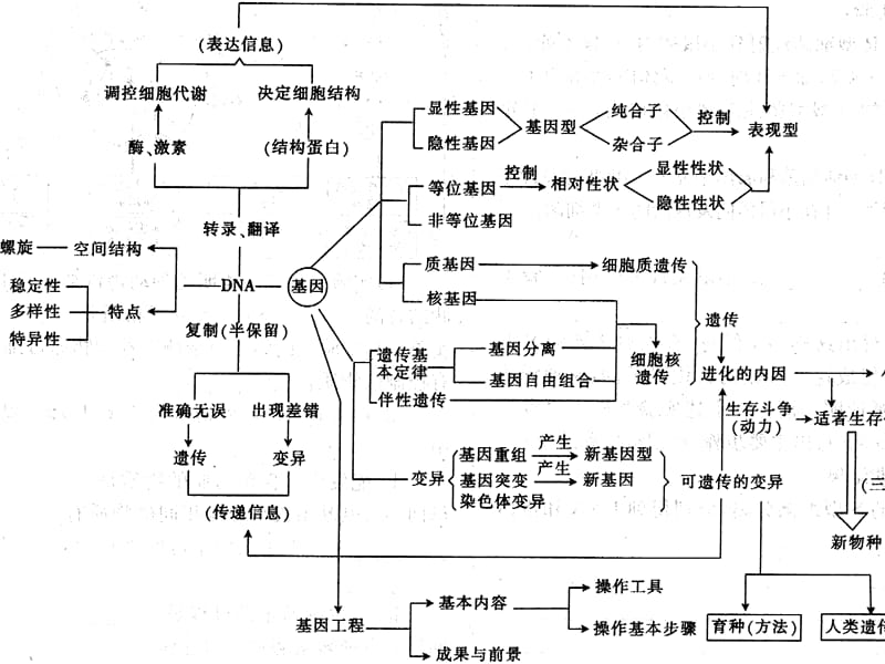 《DNA专题练习》PPT课件.ppt_第1页