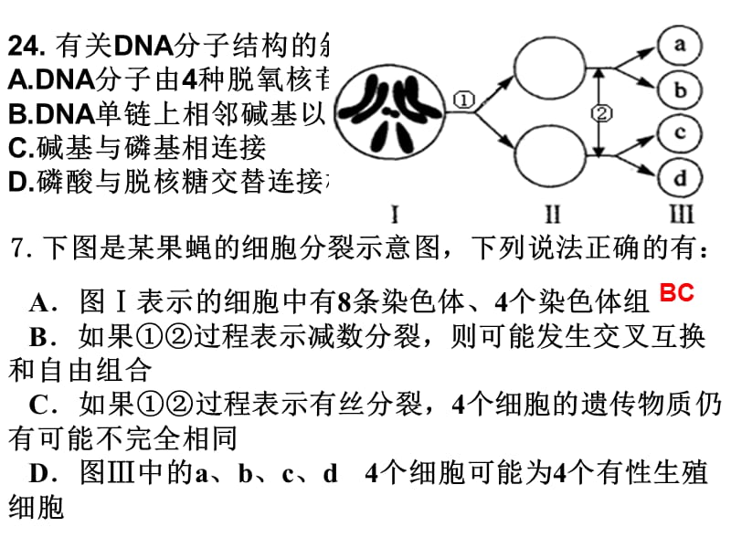 《DNA专题练习》PPT课件.ppt_第2页