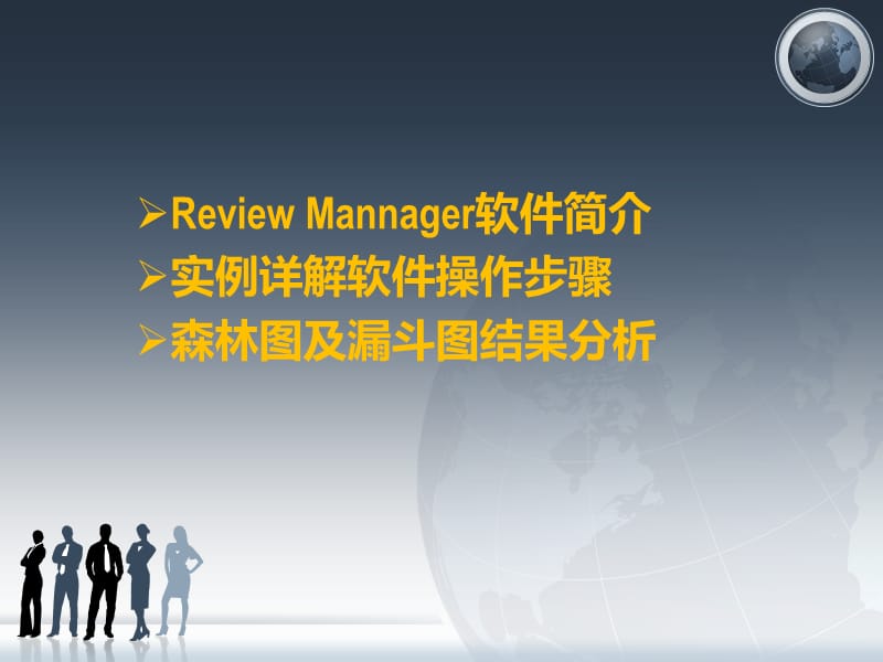 ReviewManager操作技术.ppt_第2页