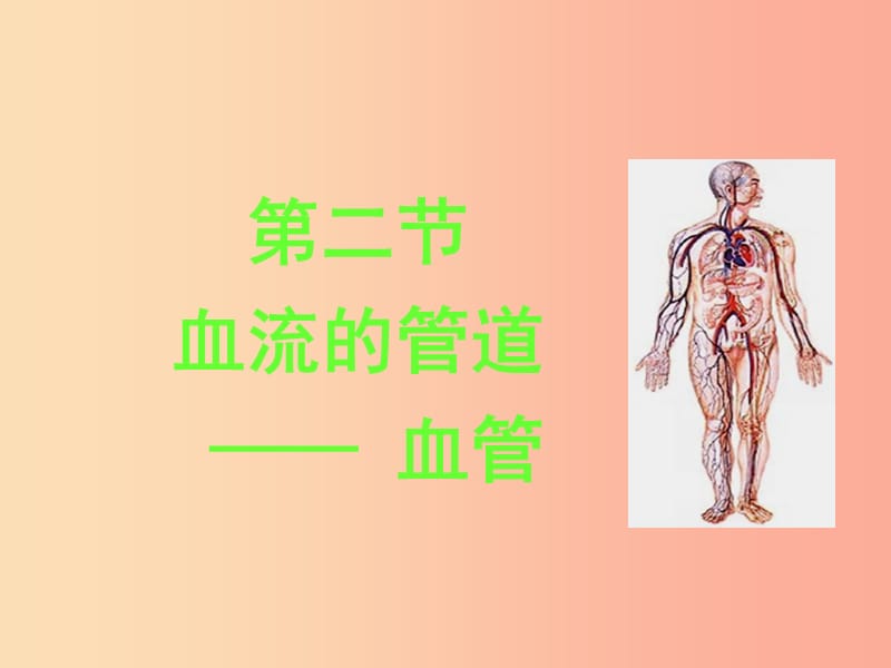 七年级生物下册 4.4.2 血流的管道 血管课件2 新人教版.ppt_第1页