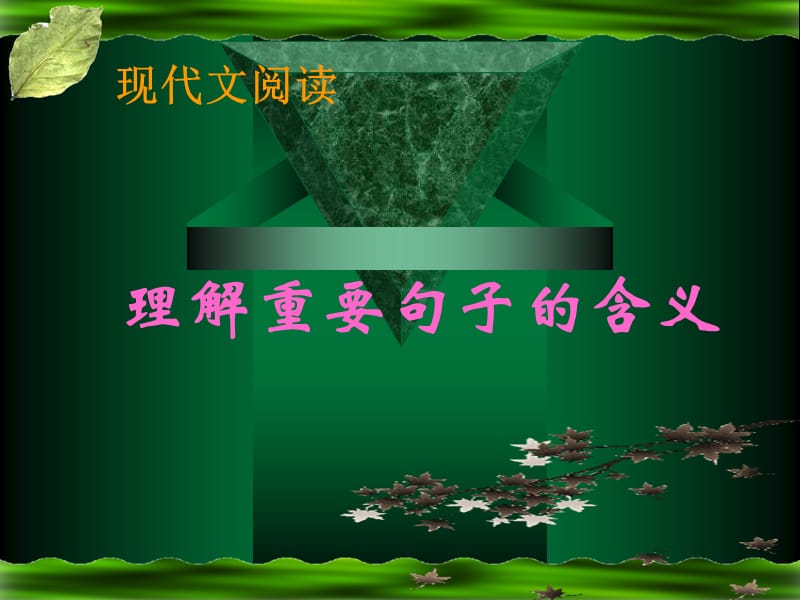 《重点句子的理解》PPT课件.ppt_第1页