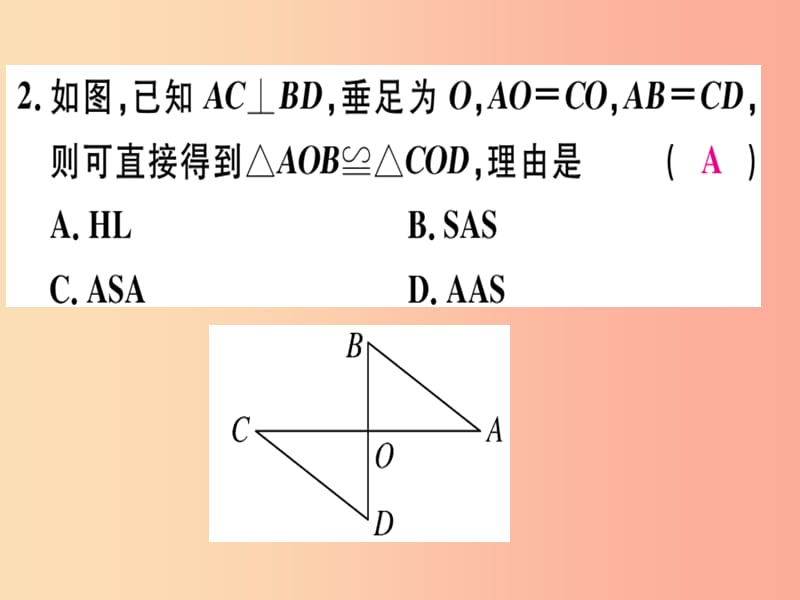 （广东专用）八年级数学上册 阶段综合训练四 直角三角形全等的判定及角平分线课件 新人教版.ppt_第3页