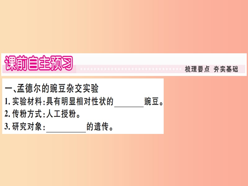 2019春八年级生物下册 第七单元 第二章 第三节 基因的显性和隐性习题课件 新人教版.ppt_第1页