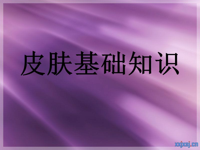 《皮肤基础知识》PPT课件.ppt_第1页